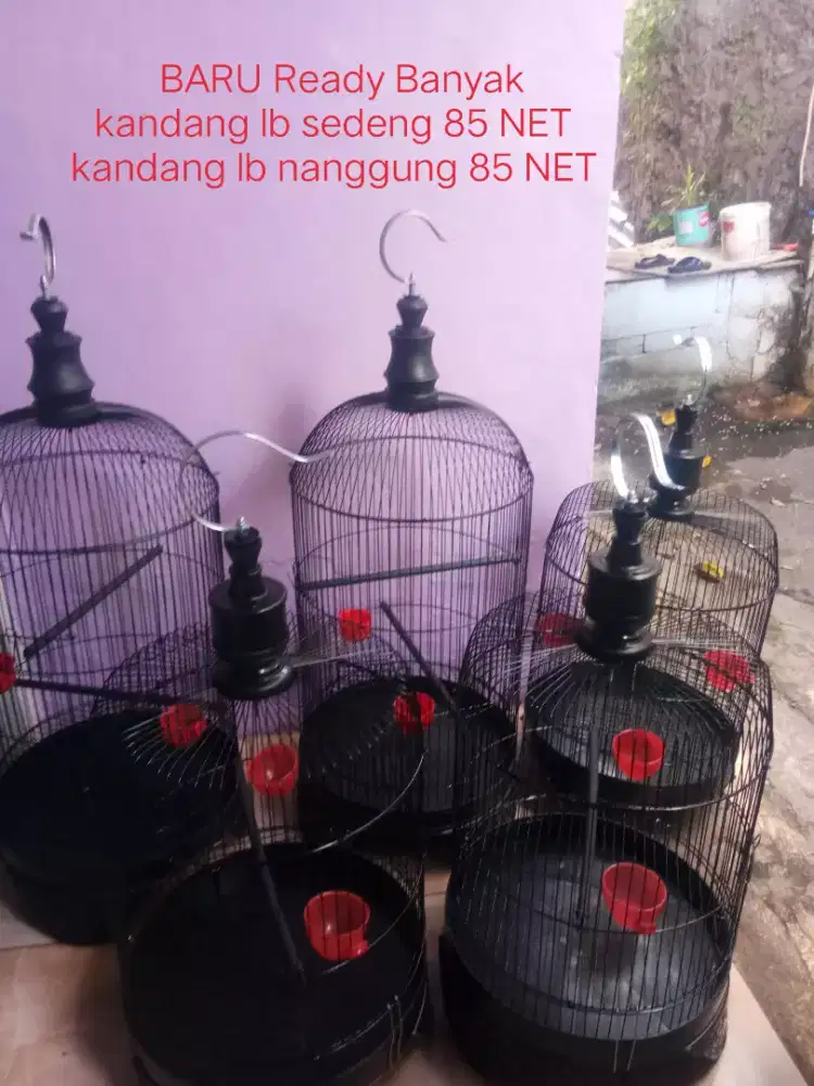Sangkar LB sedeng dan Tanggung baru free cepuk dan tangkringan