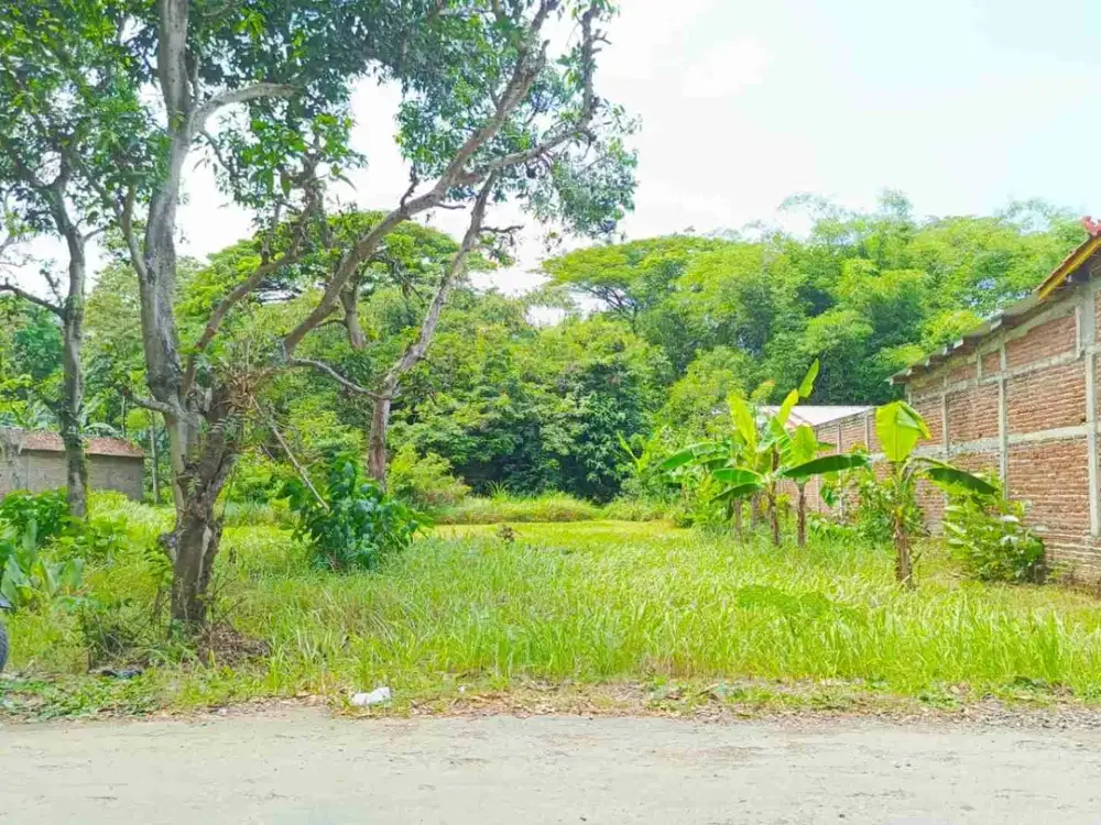 Tanah Dekat Pondok Gontor