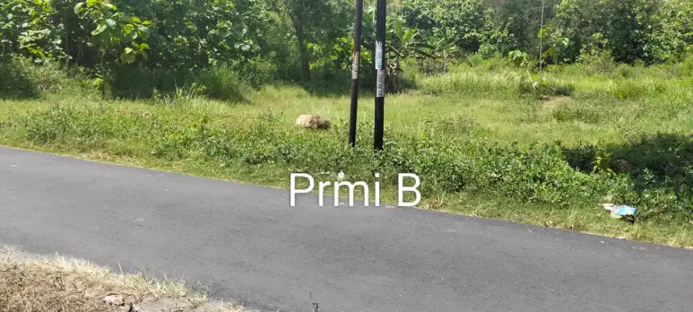 Jual tanah barat waduk cengklik luas 7000mtr hrg 650rb/MTR nego