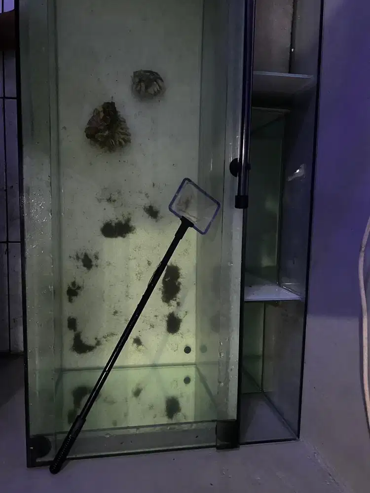 aquarium sumb filter belakang