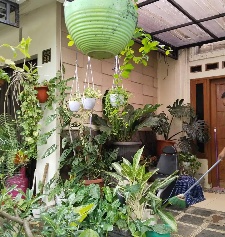 Dijual Murah Rumah Cantik & Terawat Baik