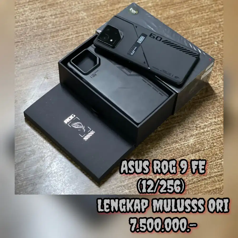 Asus Rog 9 FE (12/256)