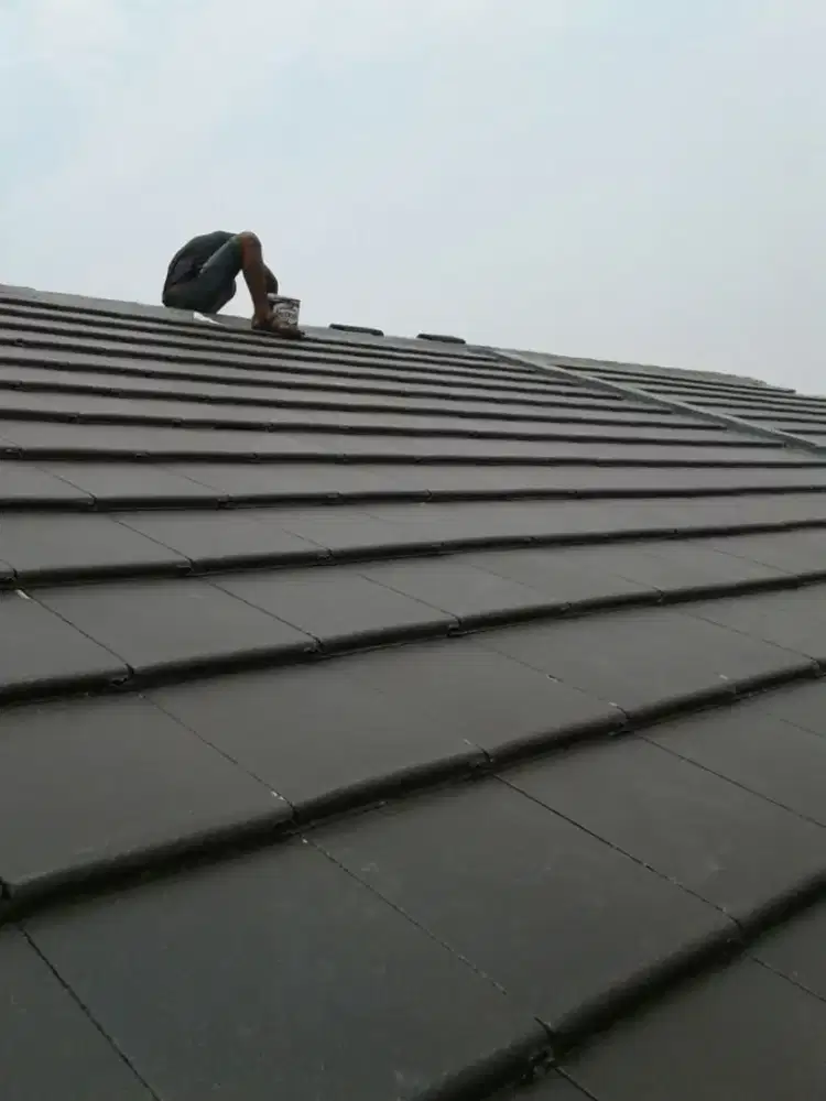 Tukang bangunan,atap bocor,kanopi,renopasi,plapon,cat rumah dll