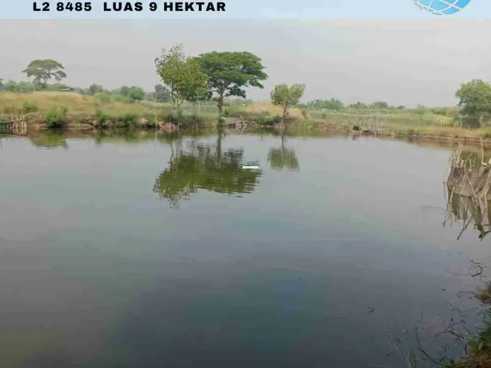 jual tambak luas dan produktif di Bangunsari Jabon