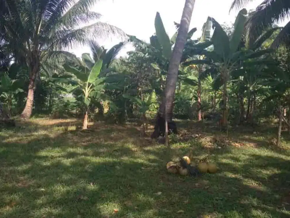 Tanah Strategis Carita, Cocok untuk Resort & Hotel