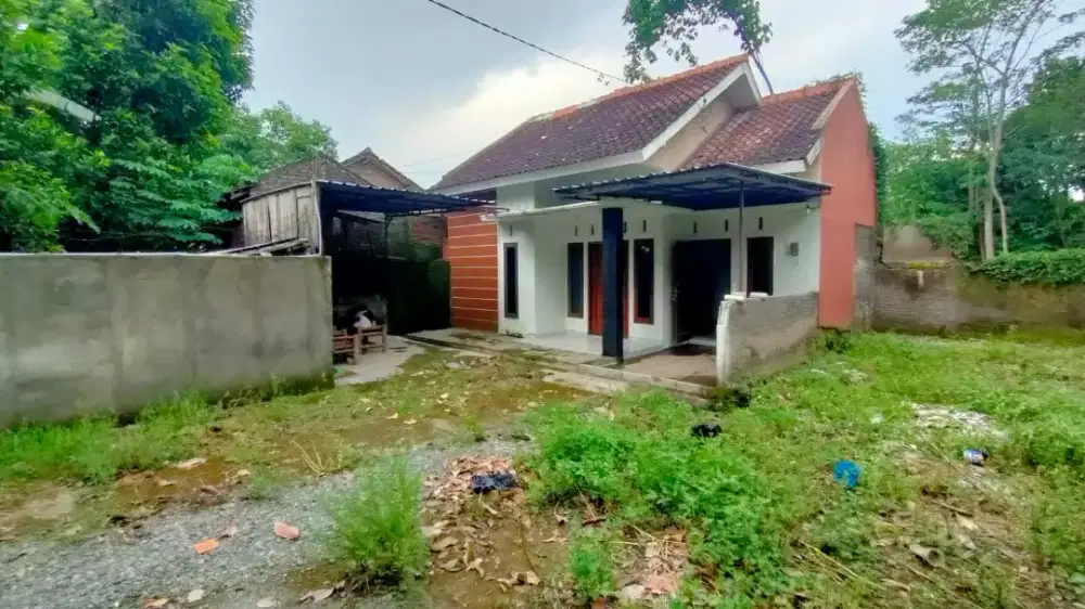 Rumah Asri Halaman Luas