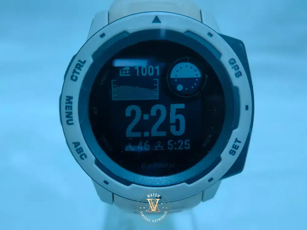 Garmin Instinct Tundra Second