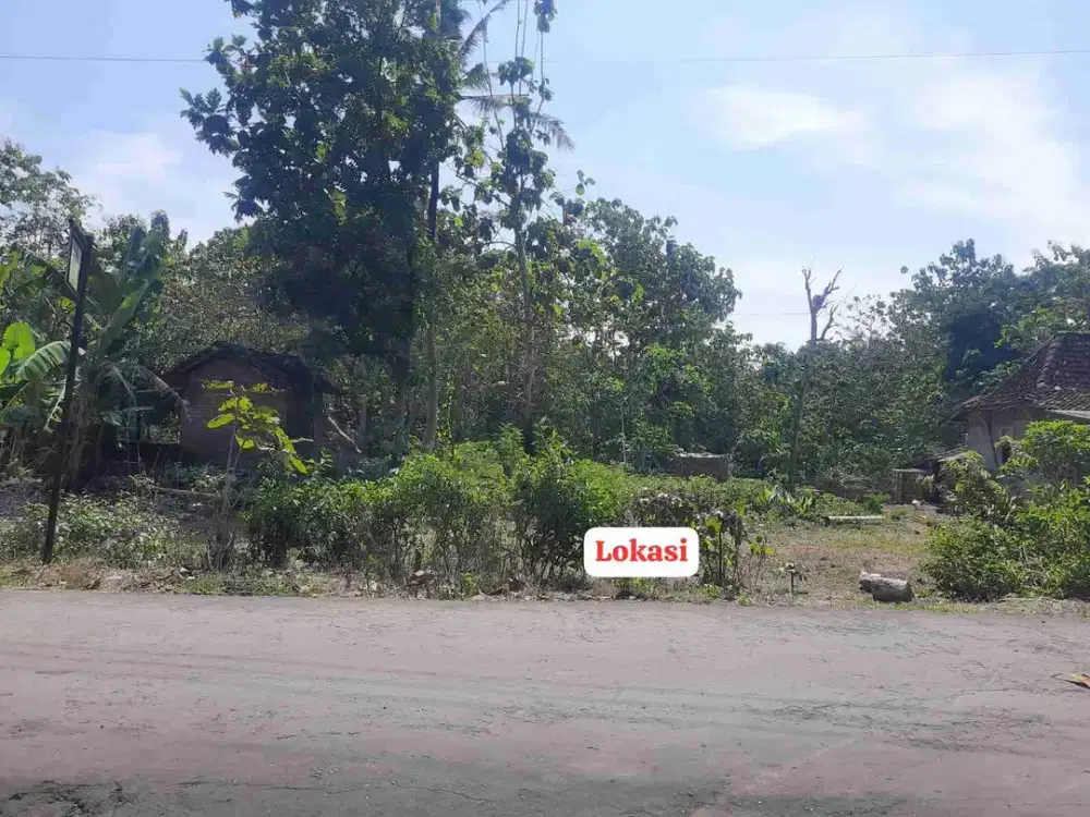 jual cepat Tanah pekarangan tepi jl aspal srikayangan Sentolo Kulon Progo