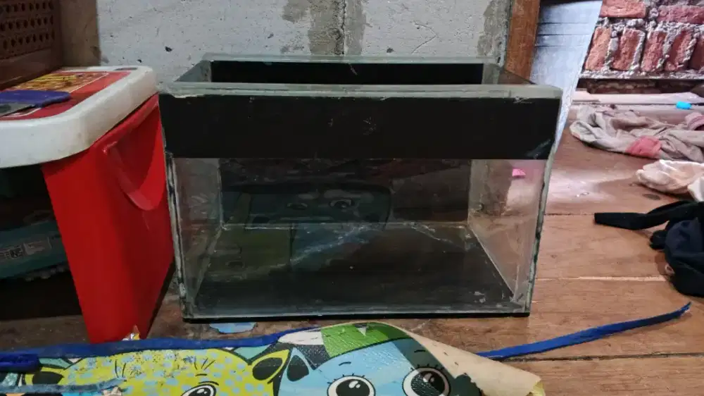 Aquarium 4 pcs bekas & Jersey sepeda