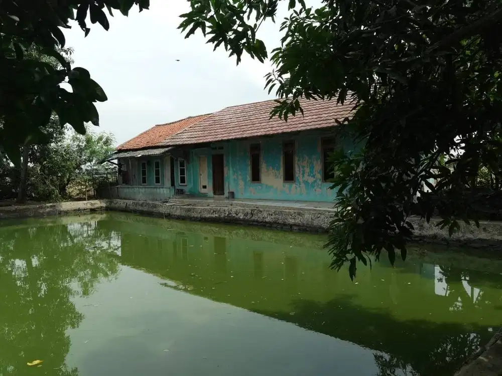 Dijual Rumah dan Empang Tanjungpura Karawang