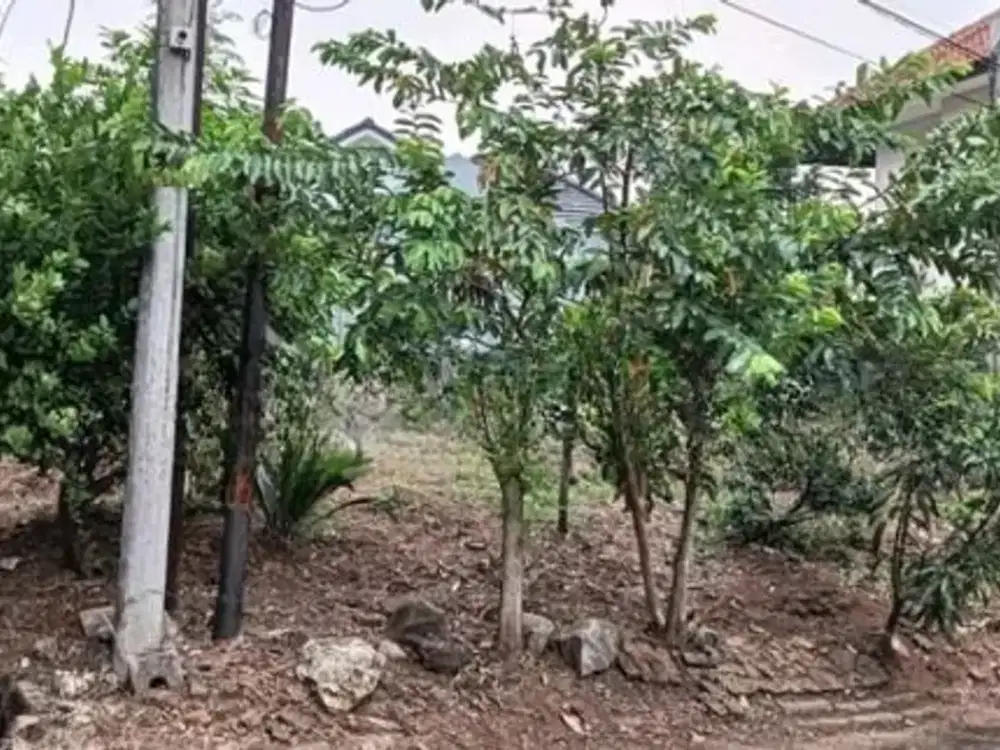 Dijual Kavlling Murah di Cibubur