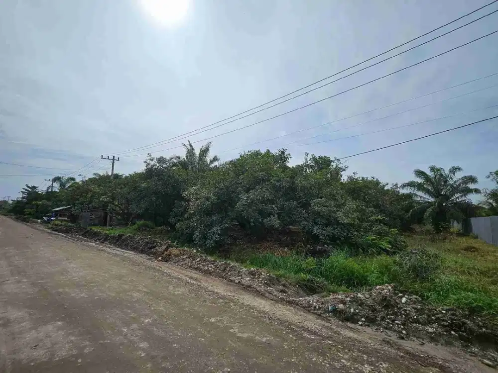 Tanah 100 x 200 di jl Riau Ujung