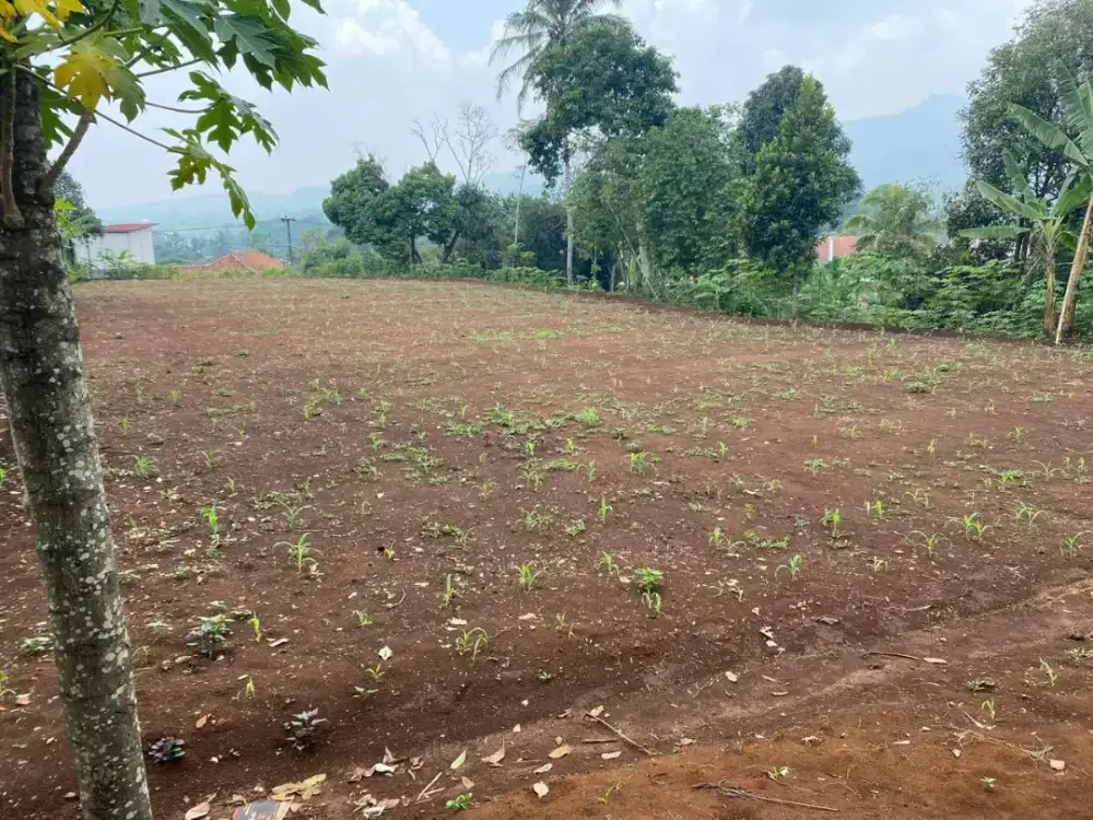 Tanah, lahan SHM, Akses mudah