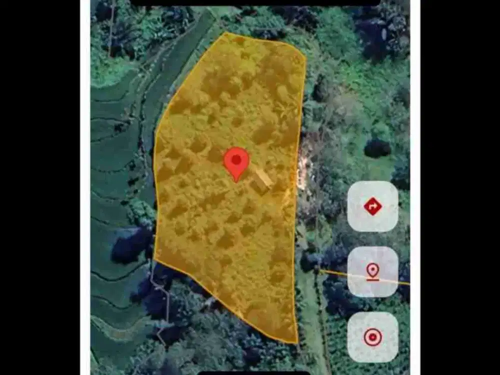 Tanah Desa Lembang Lohe Sinjai
Luas Tanah 3.375
Ada Pohon Durian Musang King, Cengkeh, Mangga, Pisang
Rp. 250 JT