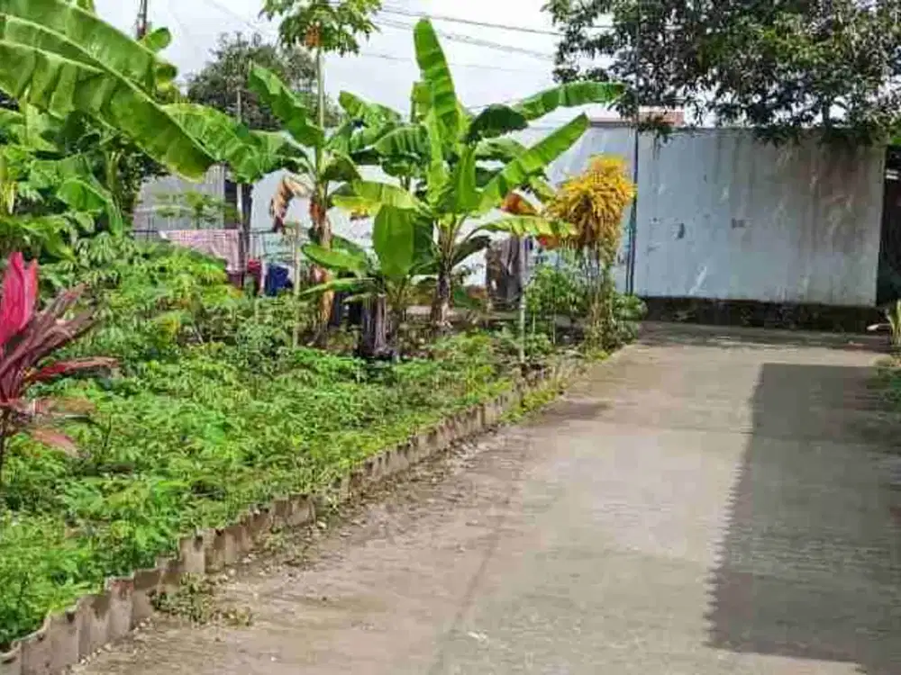 Jual Pekarangan Kalasan Utara LPMP