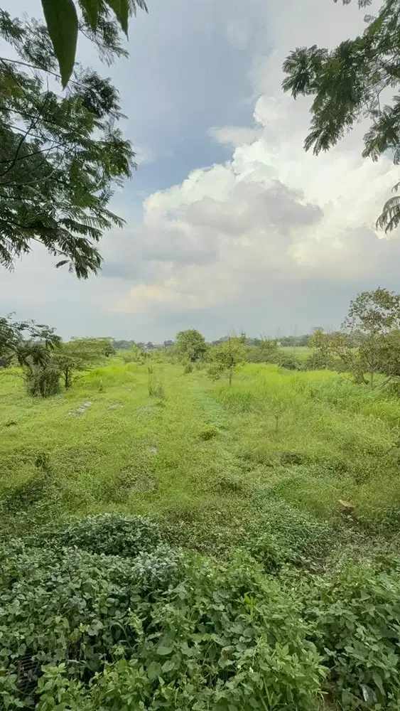 *NEGO* Tanah di Kawasan Industri untuk Pergudangan