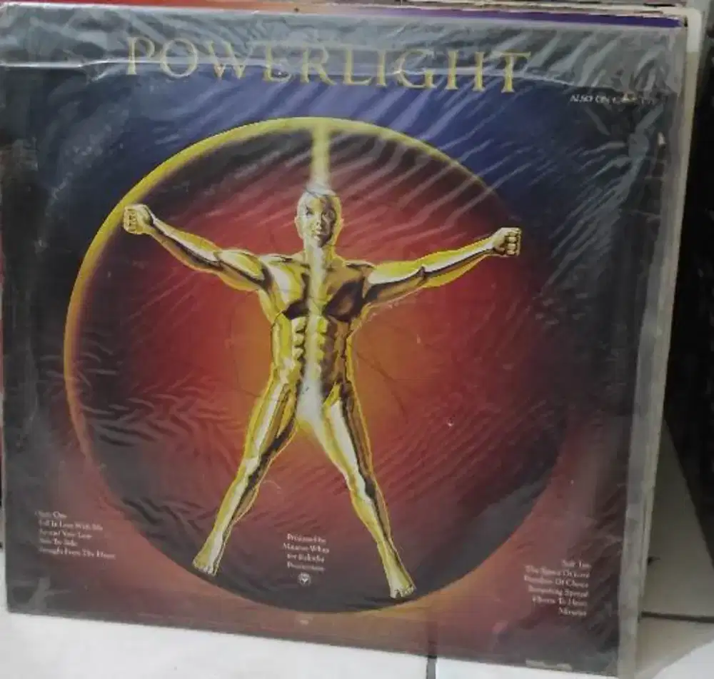 Piringan hitam / plat album