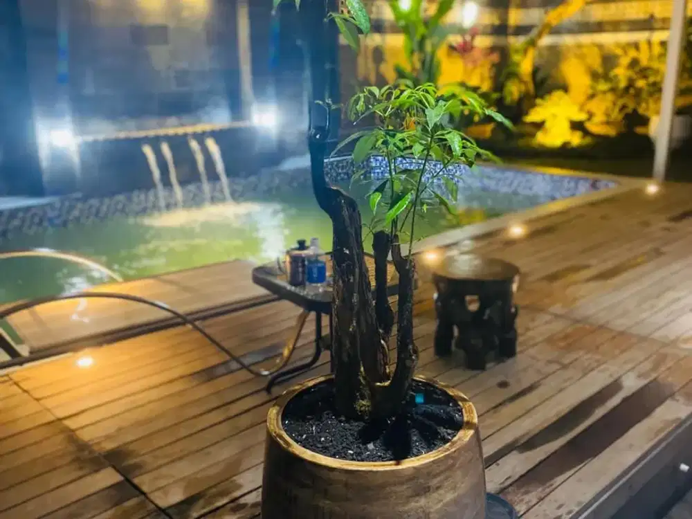 termurah! rumah lux pool kota baru parahyangan bandung