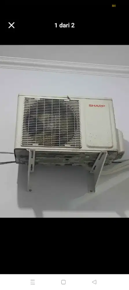 AC Sharp 1/2 pk