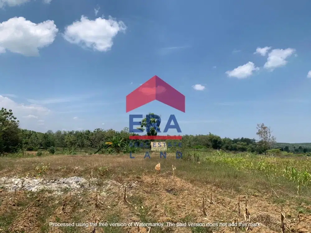 Dijual Tanah di Jalan Raya Bulu Jatirogo Tuban