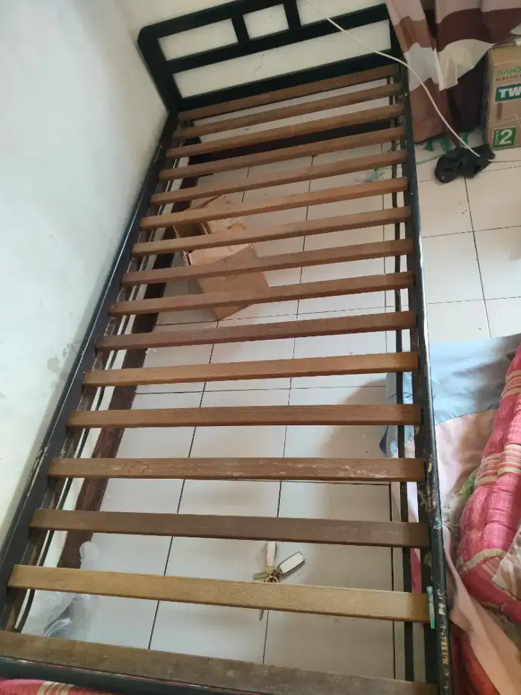 dipan single bed mrek ligna