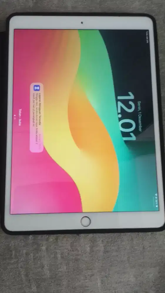 iPad pro 10.5 inch A1709 256 GB wifi dan SIM Bekas