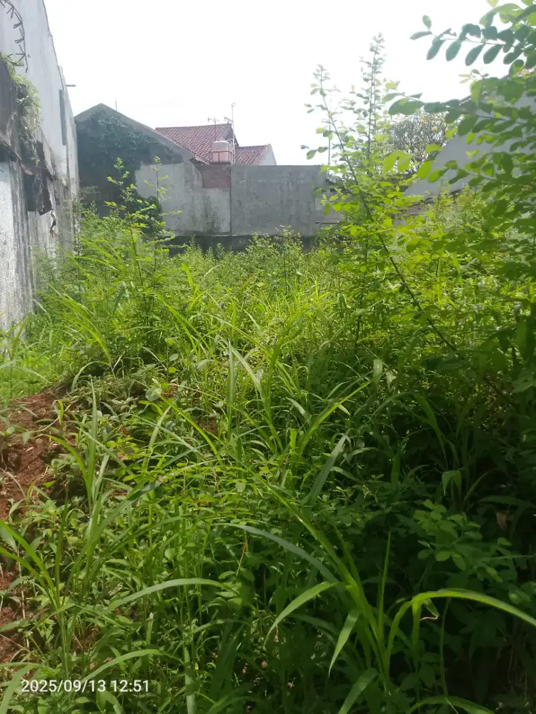 Potong Rumput - perapihanTaman kavlink