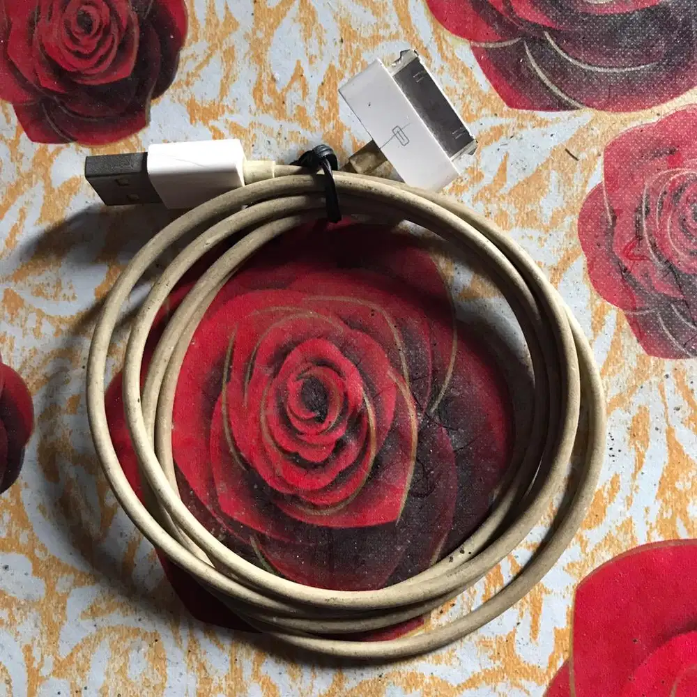 kabel data cas charger USB iPad iPhone 30 pin