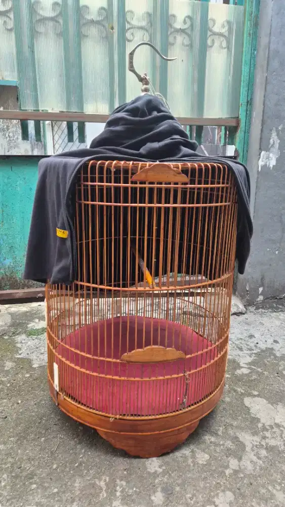 Sangkar murai no 2