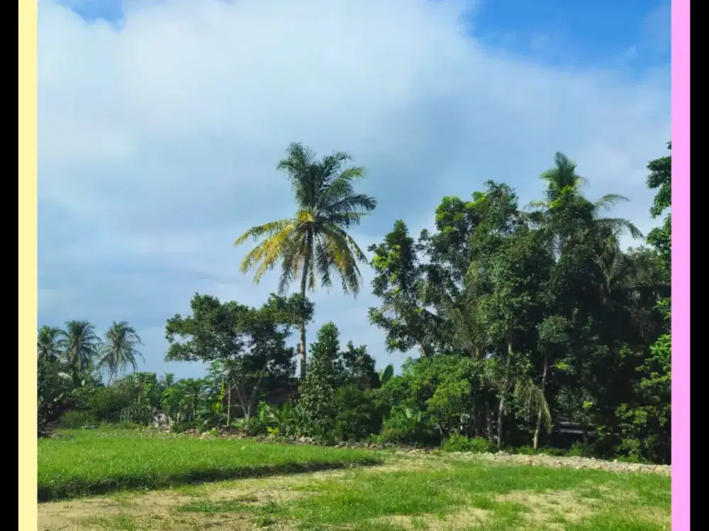 Tanah Dijual Luas 136 M2 Dekat Jalan Wates Gamping SHM Pekarangan