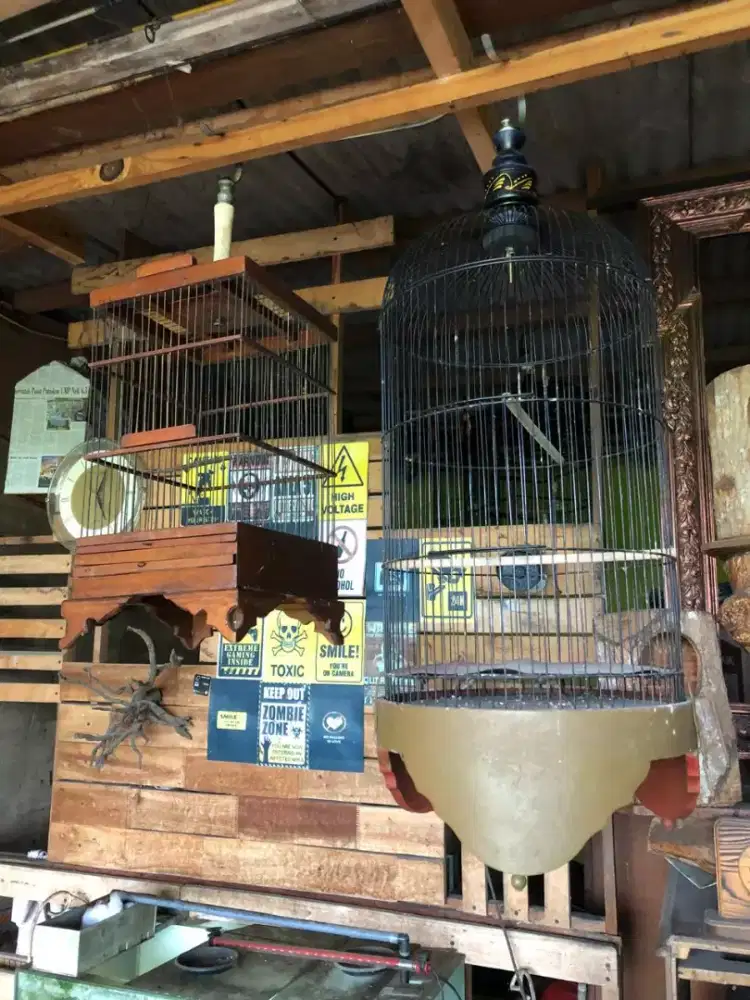 Borongan sangkar labet tebok jati plus sangkar burcil