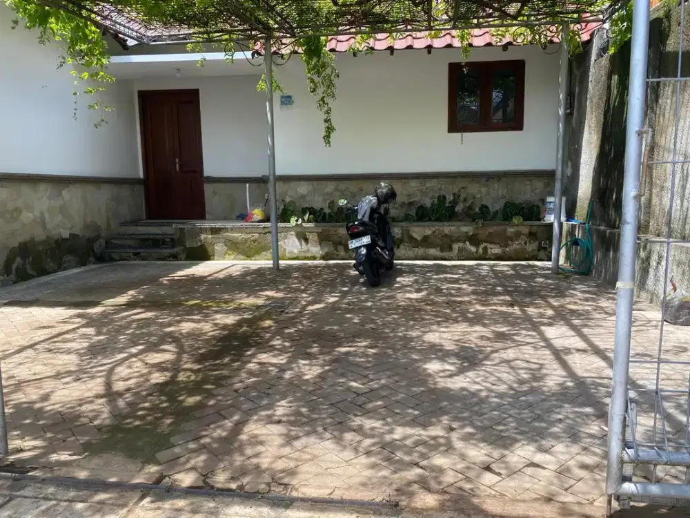 Disewakan Rumah 1 Lantai Dengan Taman Luas Di Area Renon