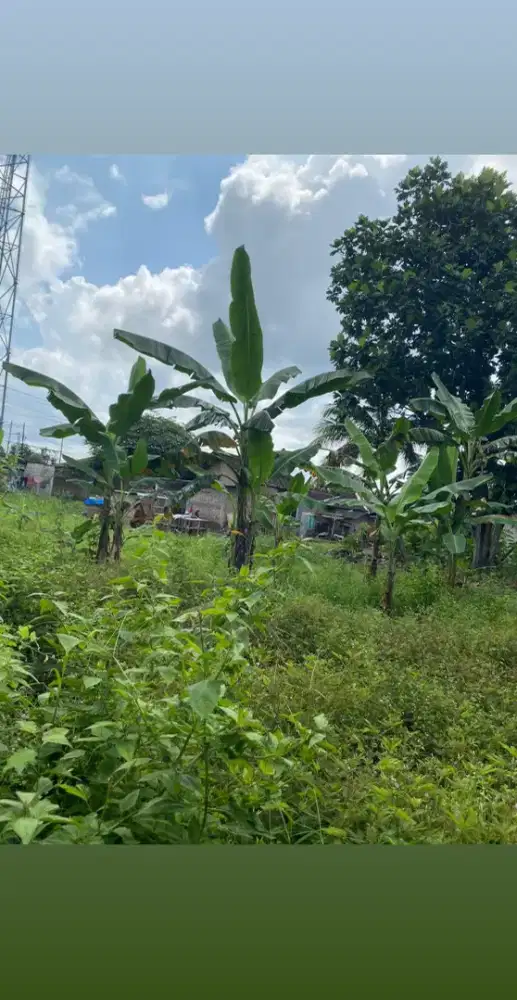 Dijual tanah luas 1135 mtr