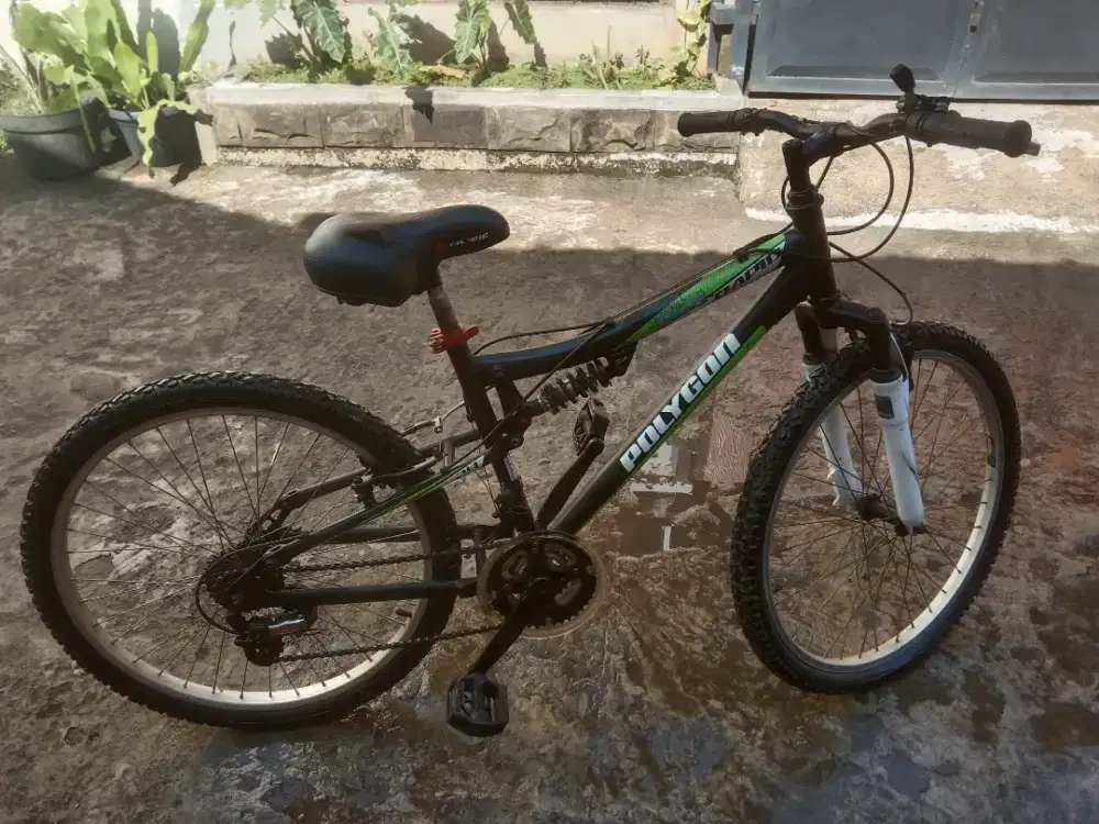Sepeda gunung polygon