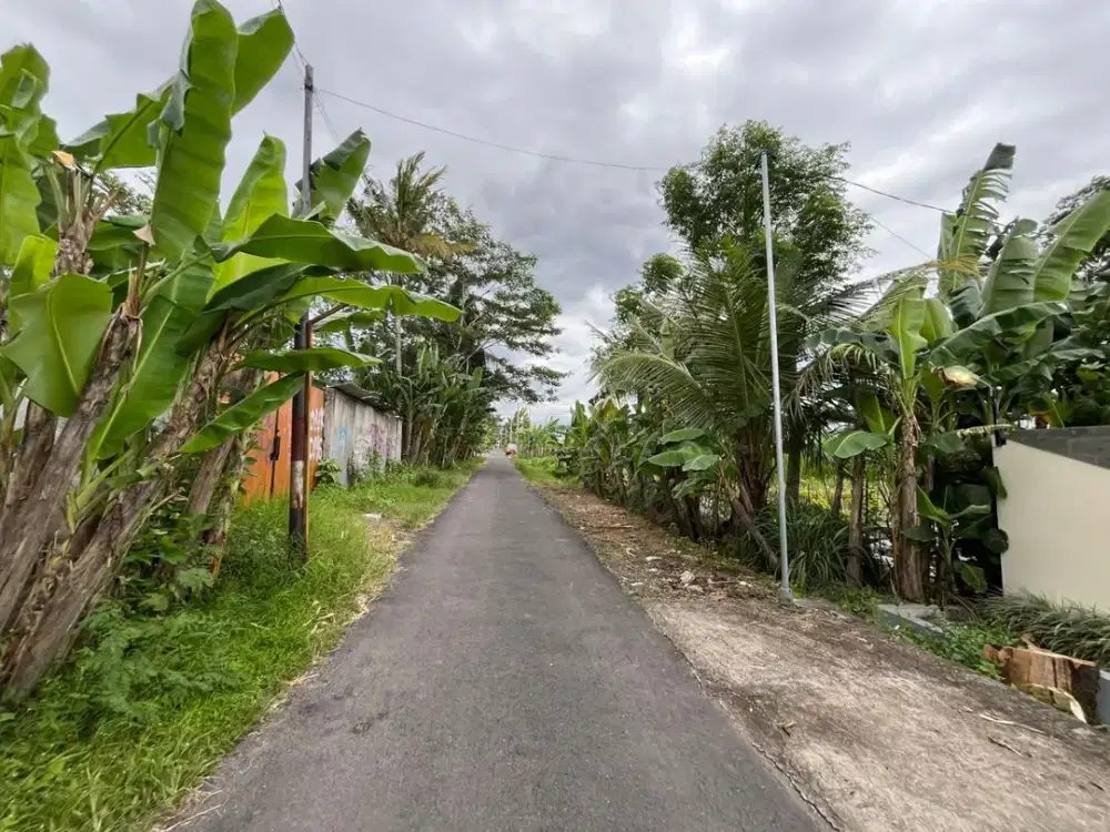 Selangkah ke UGM, Jakal Km 9: Tanah Sleman dijual