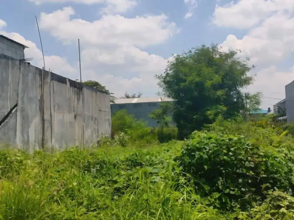 MURAH! DIjual tanah medokan sawah