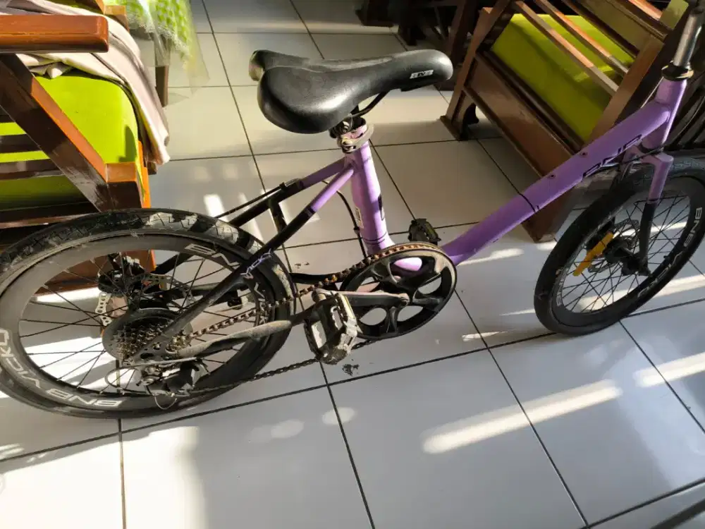 JUAL SEPEDA MINION BNB VICKY 20 INCH KONDISI LAYAK PAKAI