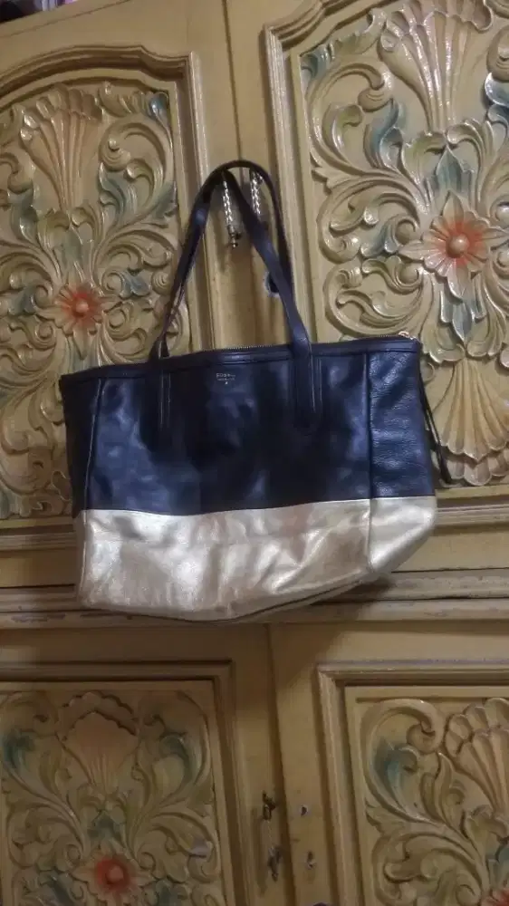 Tas fossil sydney original