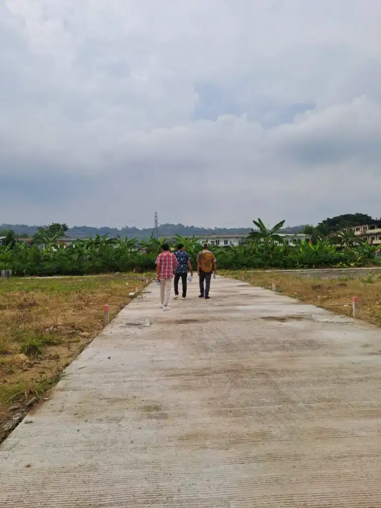 Kavling murah Deket kampus Undip di tembalang