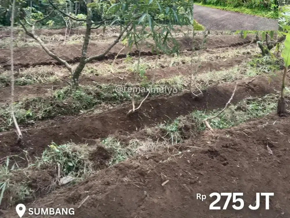 Dijual Tanah Seluas 700 m2