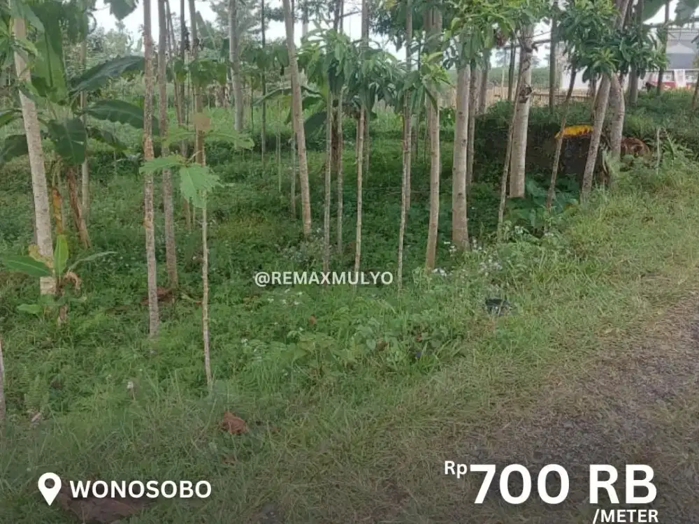 Dijual Tanah Murah Akses Mudah Area Wonosobo