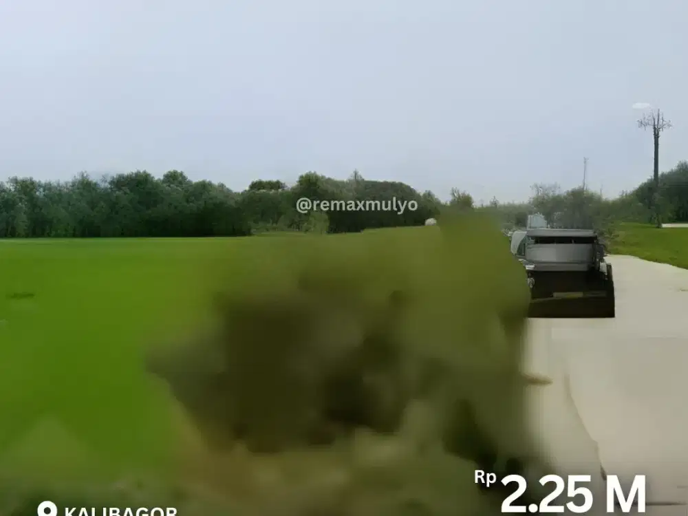 Dijual Tanah Sawah Lokasi Tepi Jalan Raya