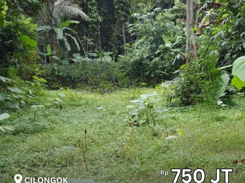 Dijual Tanah Murah Area Cilongok Seluas 750 m2