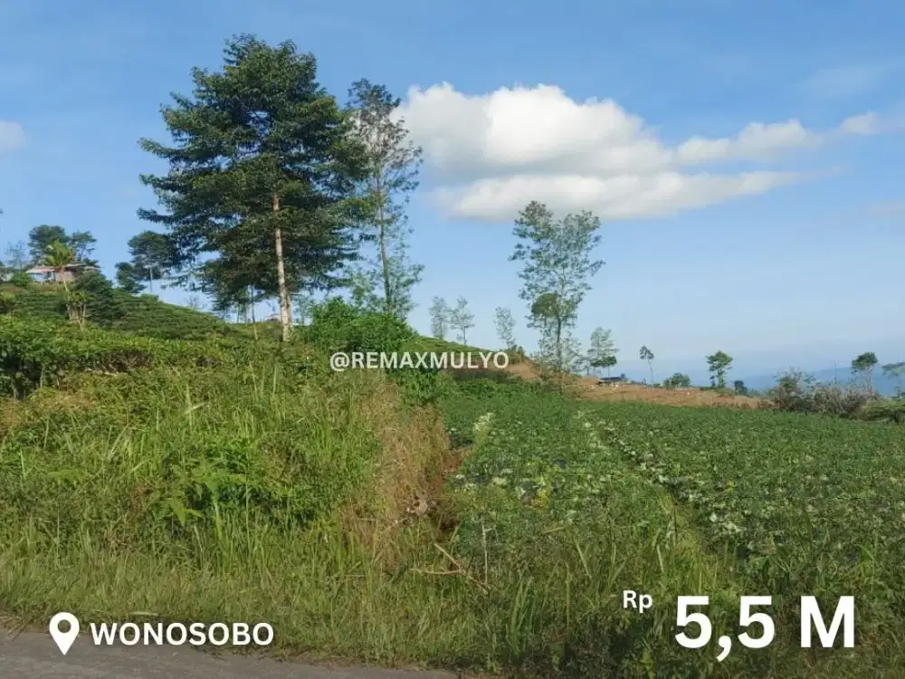 Dijual Tanah Luas Area Wisata Di Wonosobo