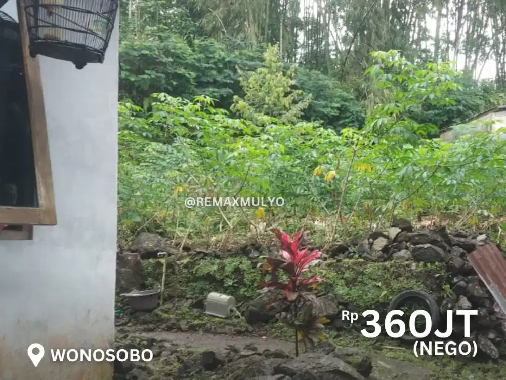 Dijual Tanah dan rumah di Dekat Fasilitas Desa