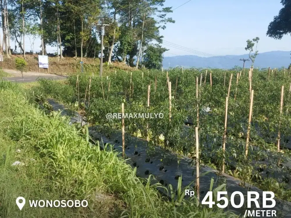 Dijual Tanah Luas Wonosobo Akses Mudah