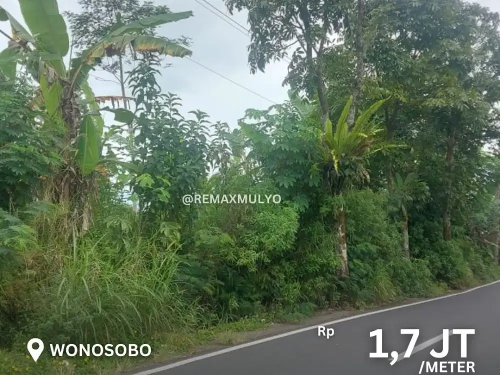 Dijual Tanah Seluas 2.775 Akses Jalan Mudah Area Wonosobo