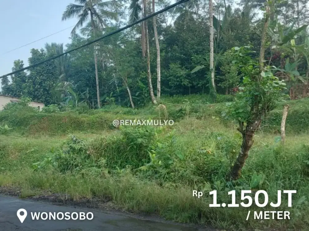 Dijual Tanah Dekat Jalur Provinsi Area Wonosobo