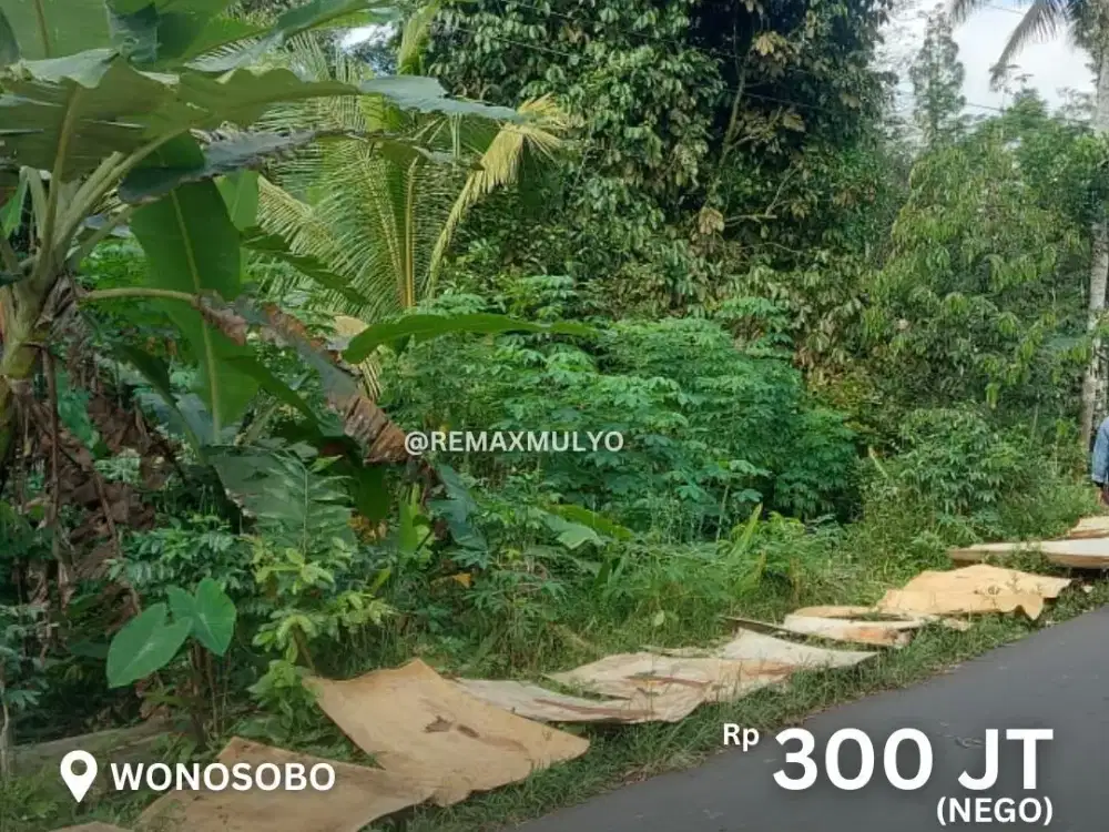 Dijual Tanah Kota Wonosobo Daerah Industri dan Wisata