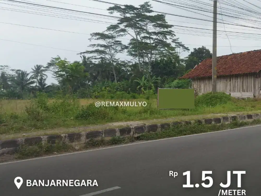 Dijual tanah Seluas 6045 M2 Akses Jalan Provinsi
